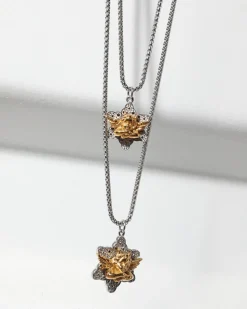 Silver/Gold Star Crossed Lovers Necklace