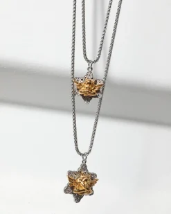 Silver/Gold Star Crossed Lovers Necklace